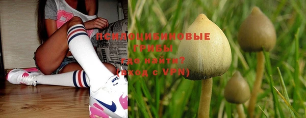 COCAINE Алексеевка