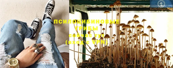 COCAINE Алексеевка