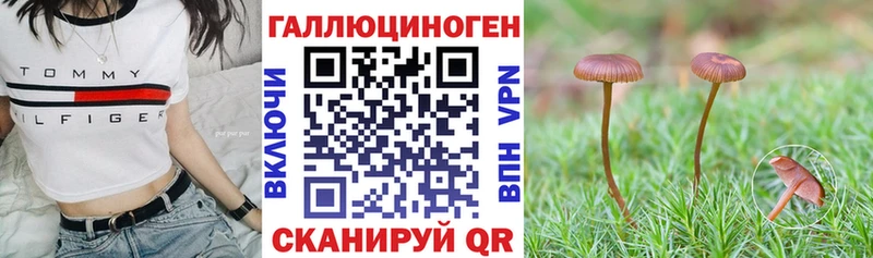 Галлюциногенные грибы GOLDEN TEACHER  Старый Оскол 